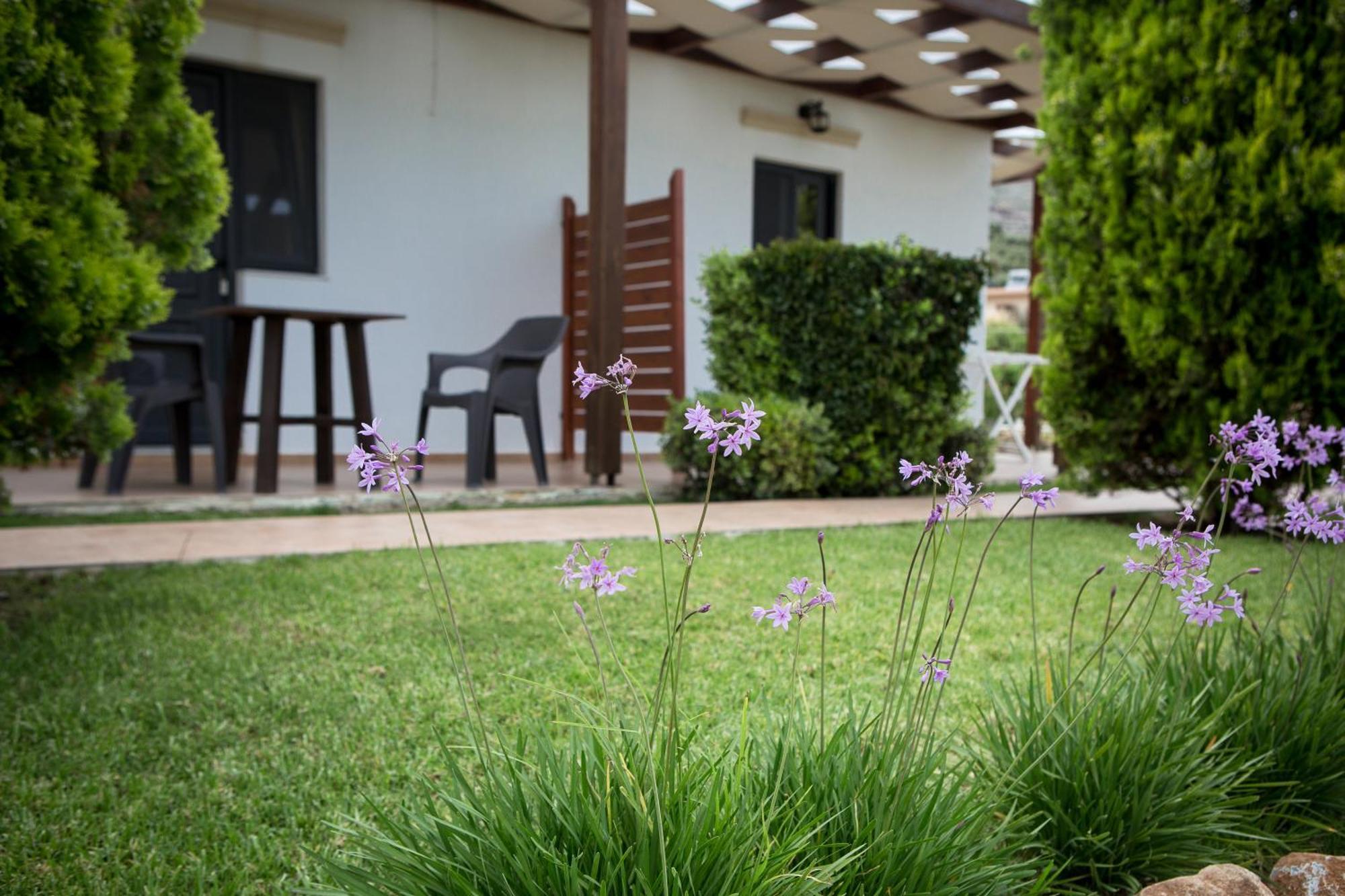 Agarathos Traditional Rooms - Pool - Kaliviani -On The Road To Balos Exterior photo